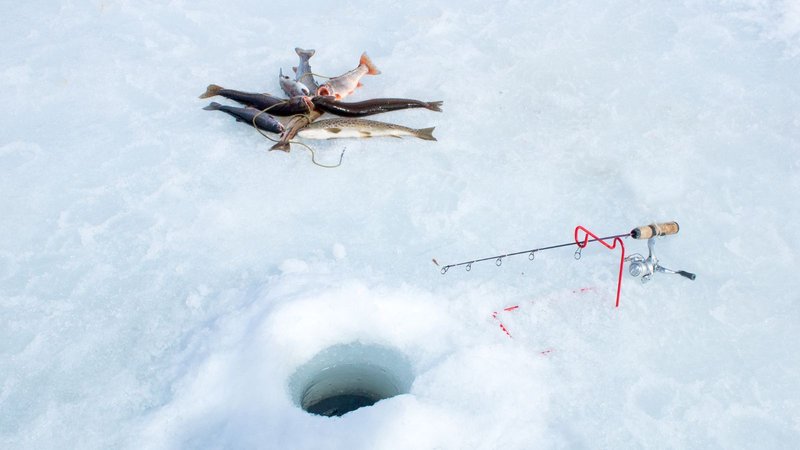 Ice fishing game gambling in Canada Ice fishing game gambling in Canada